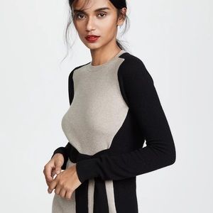 Club Monaco Sweater Dress